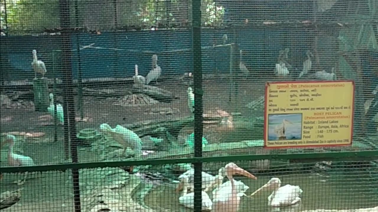 visit of kankaria zoo ahmedabad 14-07-2021