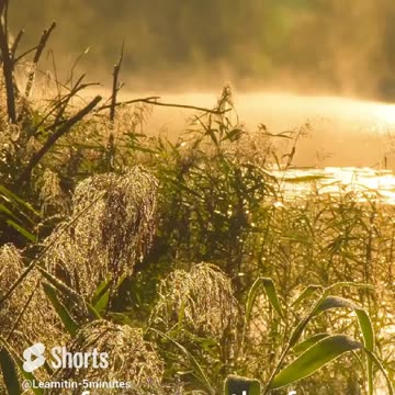 HOW TO Embrace Daily the Overflowing Grace of God - Find Peace & Strength