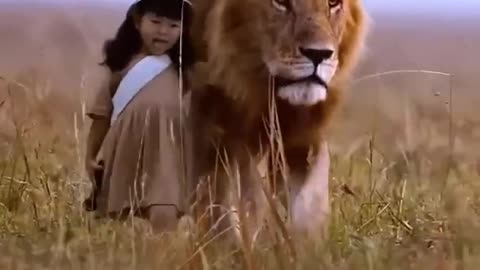 Tiger vs lion