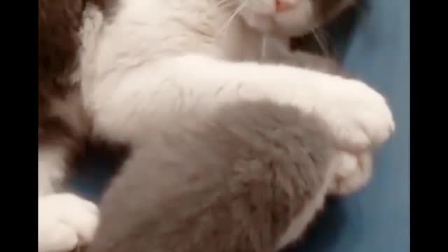 Does it hate its own baby?! ?