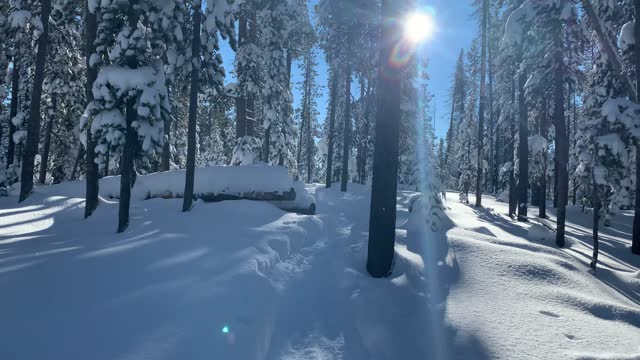 Blinding Sun & Snow – Central Oregon – Swampy Lakes Sno-Park – 4K