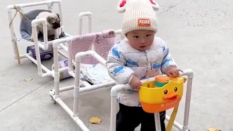 Baby and dog are playing amazing injoyfull seen