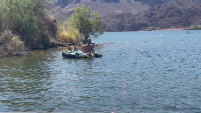 Floating Dogs at Lake Havasu