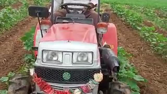 India Farmers in tractor