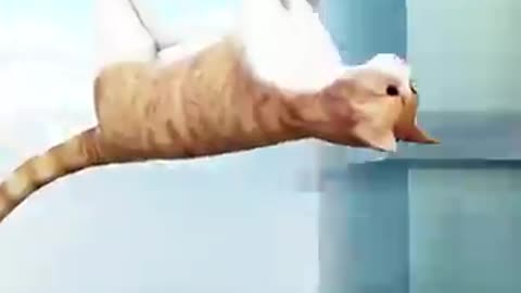 Cat vs Burj Khalifa ??? If Cat Jumps From Burj Khalifa What Happend?
