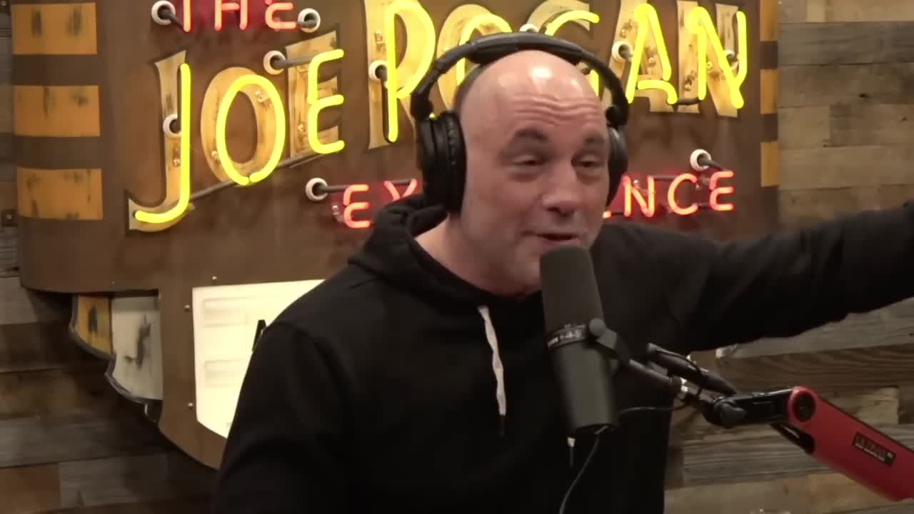 Joe Rogan: LOL Joey Diaz The MOST Dangerous Amusement Park In New York!?! & Big Lawsuits!