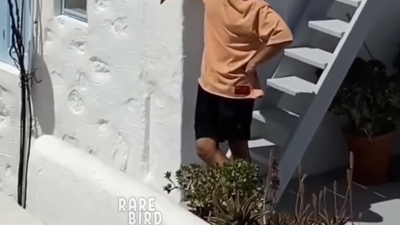 Respect