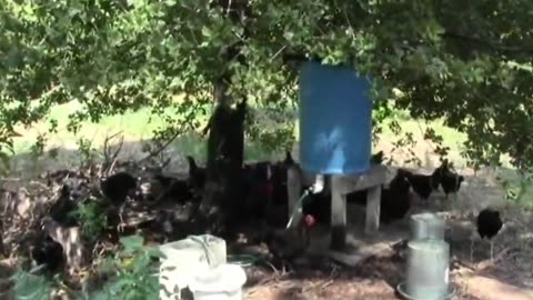 Off Grid AC and Survival Cooling