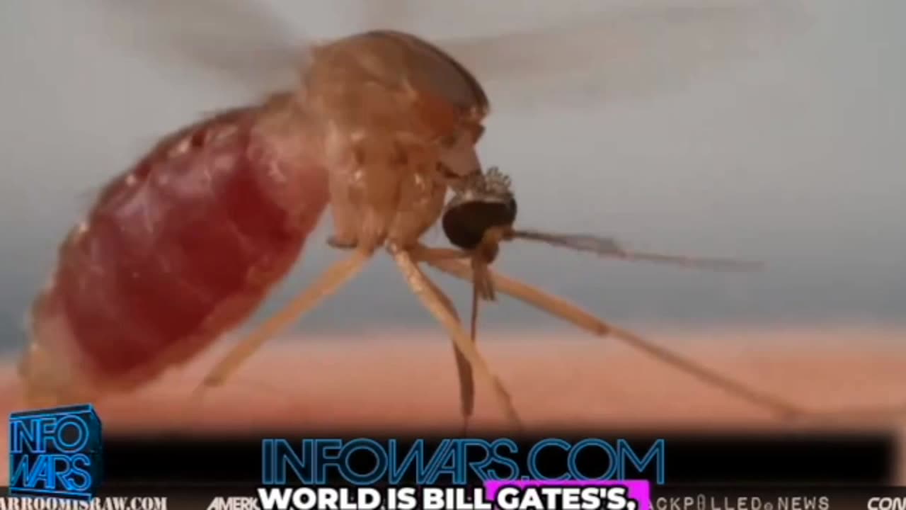 Bill Gates Flying Syringes Released in Massachusetts?