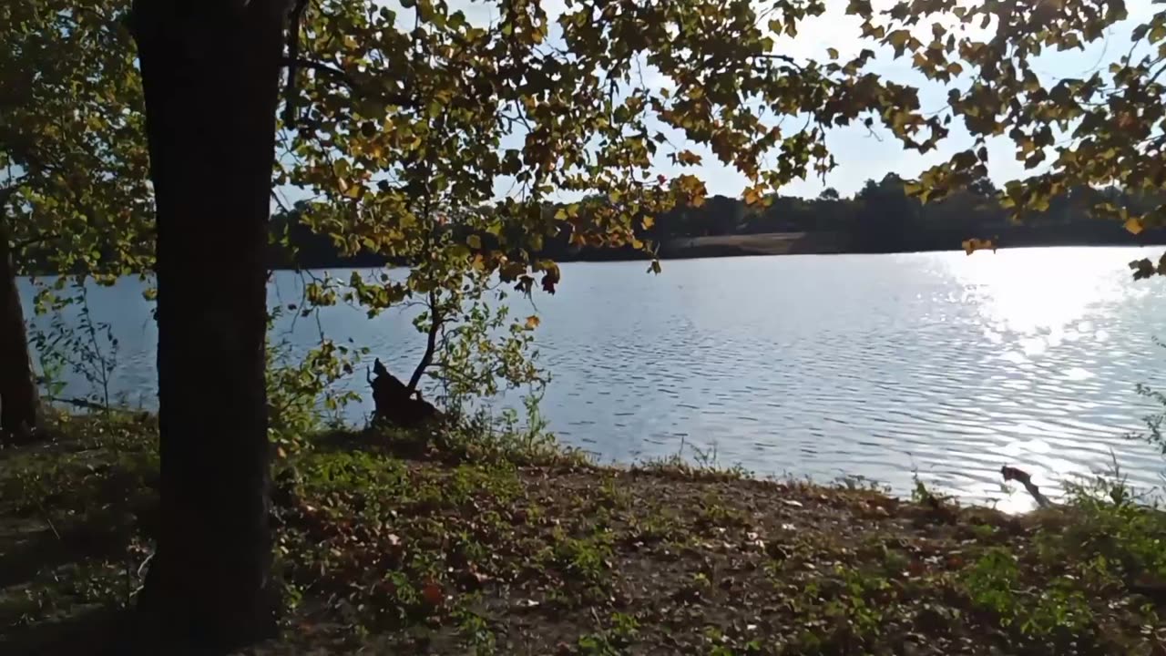 Walk and Talk With Me at Ray Clinkenbeard Park