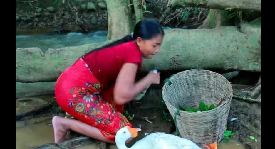 beautiful girl cooking a village-style crocodile