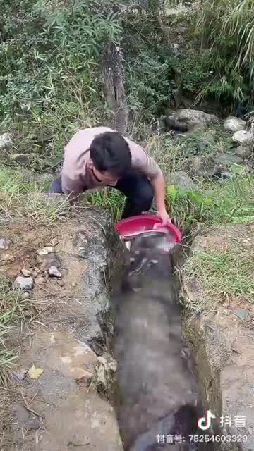 Gr liton best fun TV, Funny Video Clips # - 55