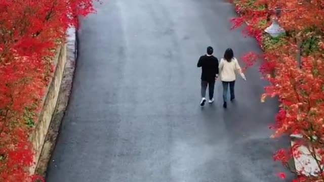 An empty street