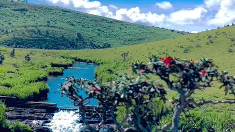 Horton plains national park