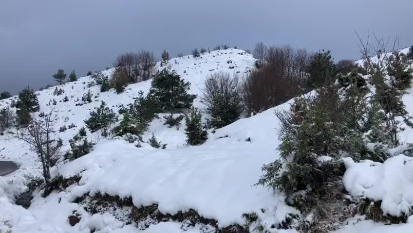Reshjet e para te debores ne malesine e krujes.