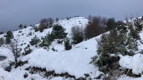 Reshjet e para te debores ne malesine e krujes.