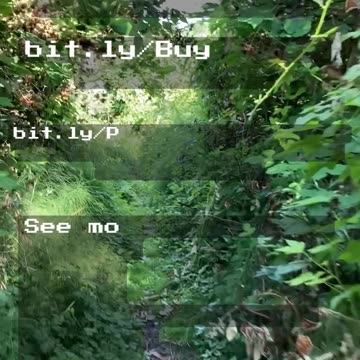 Healing and Growth – Tarot Reading