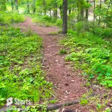 Keep going! One step at a time! #shorts