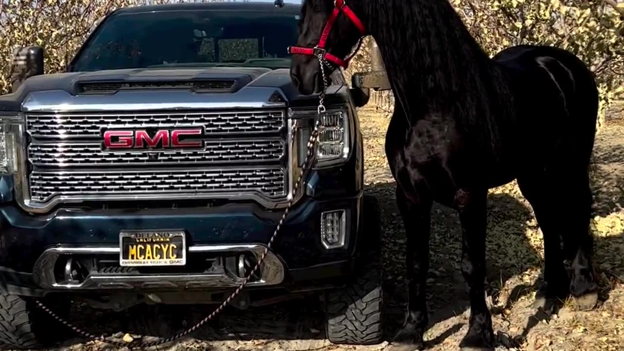 New GMC SIERRA