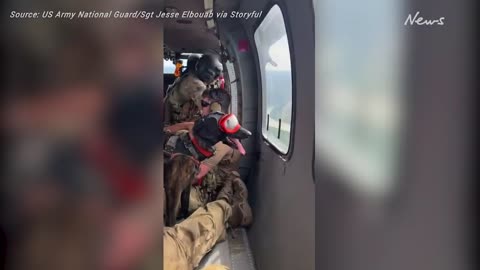 Army dog flown in to assist in flood recovery