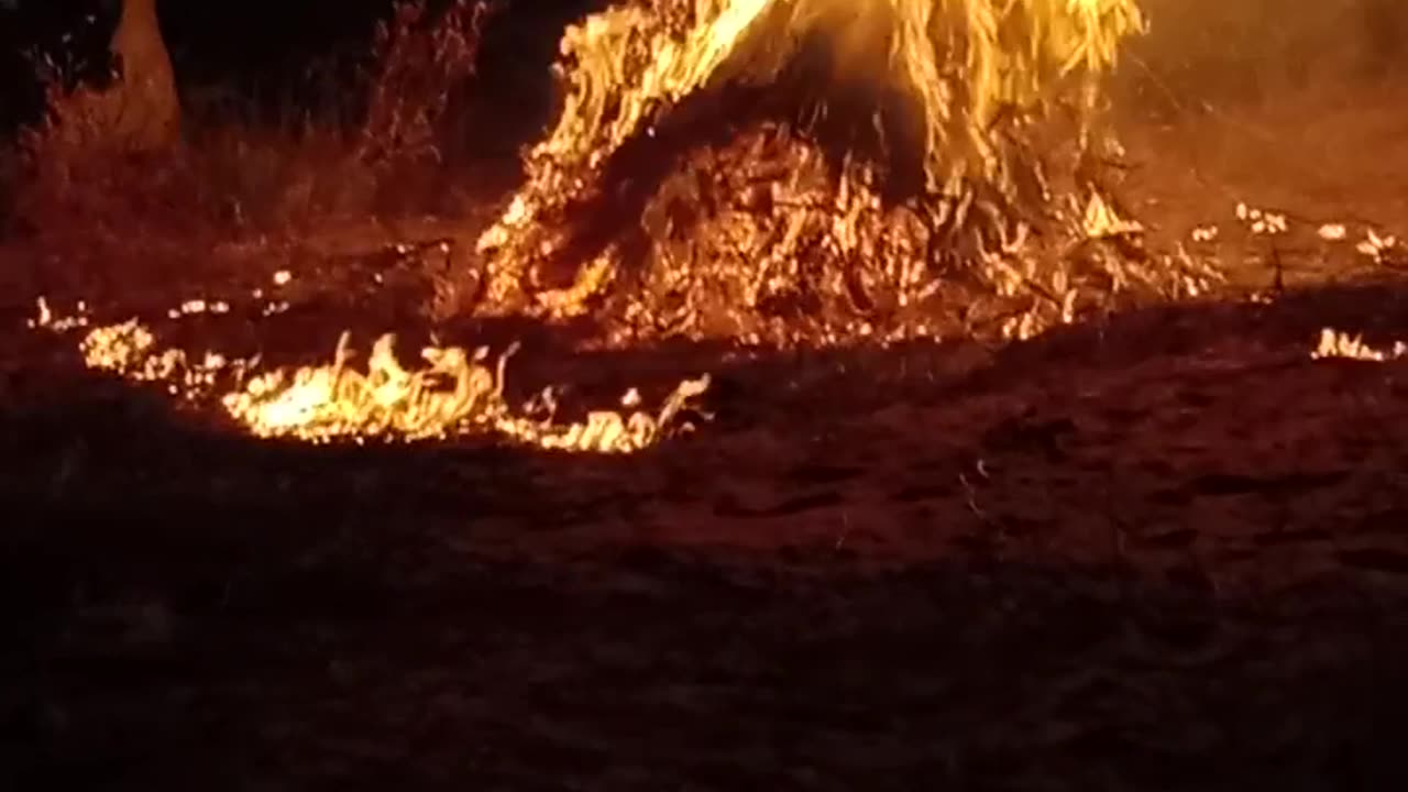 Holi celebration in Pakistan