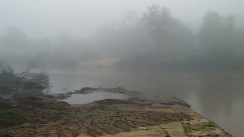 7.2.2024 Barron River, Kuranda