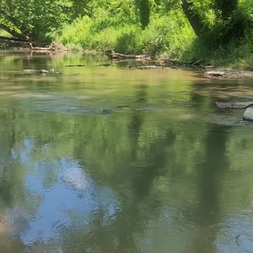 Cataract falls Indiana