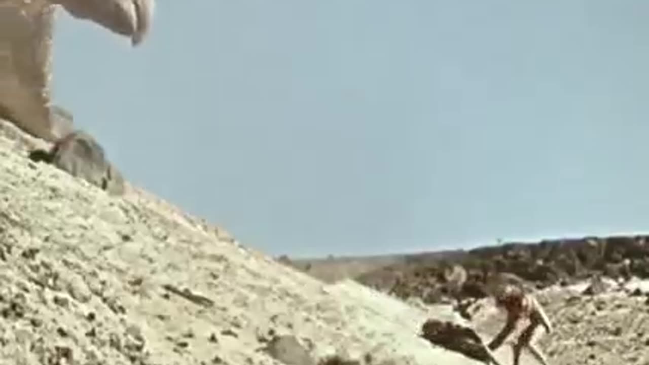 Darma New Best movies Action 2023