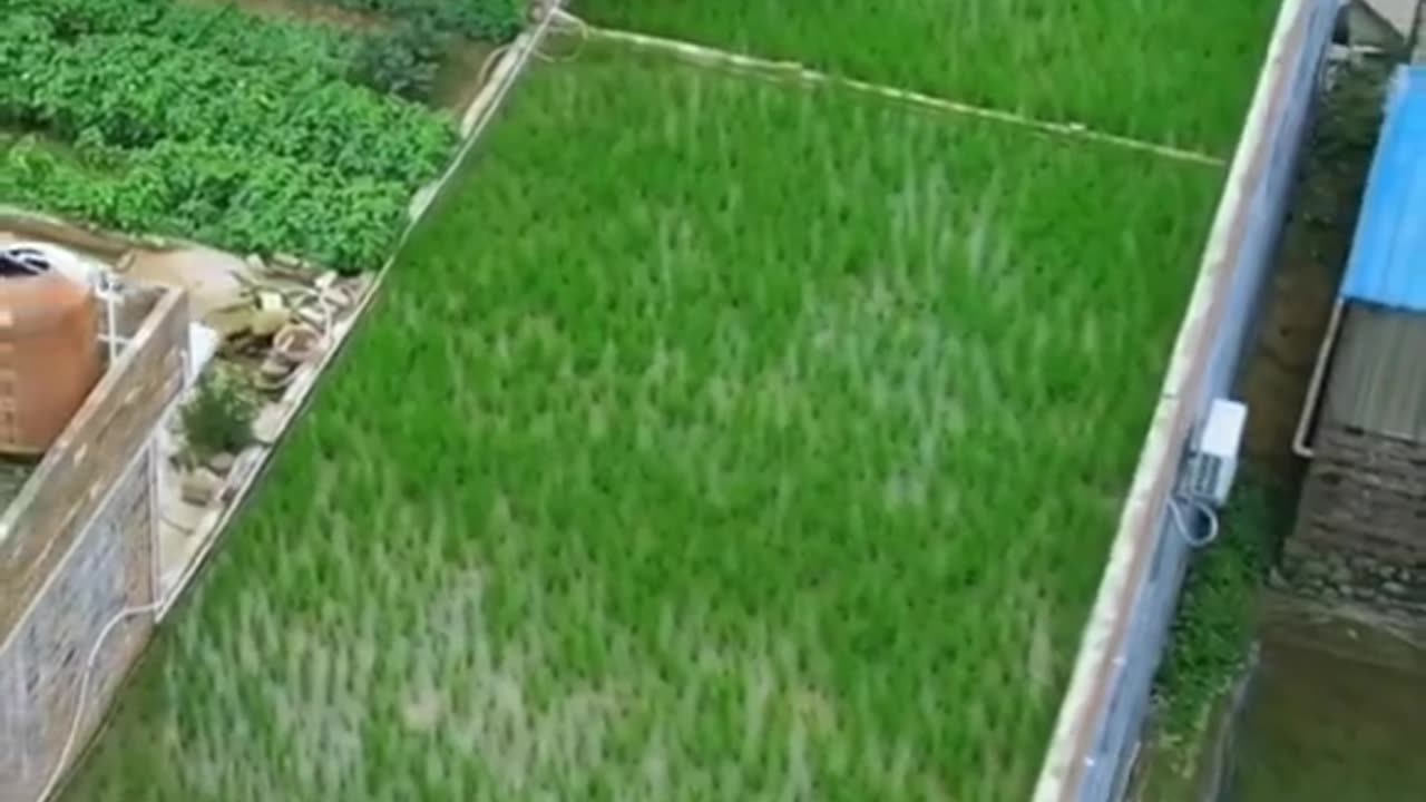 Farmer modern