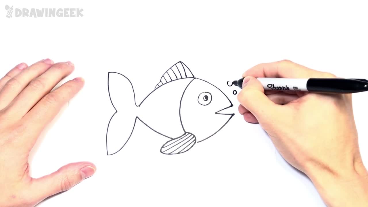 How to draw a Fish Step by Step | Drawings Tutorials for Kids