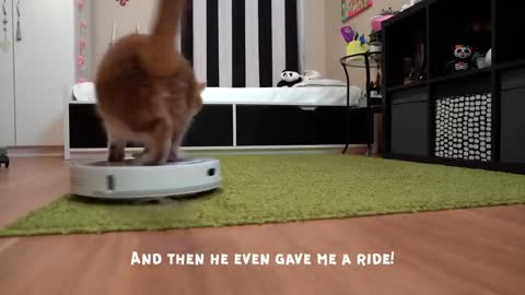 Hosico met a robot vacuum cleaner