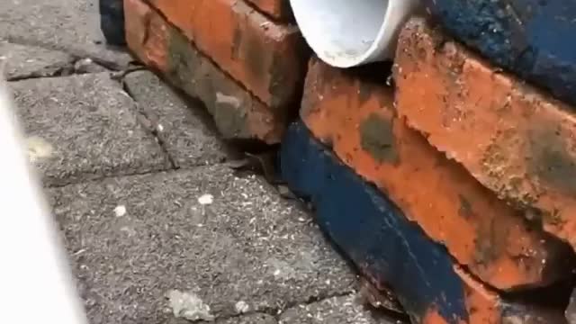 Daily life useful tricks 😄| Creativity |