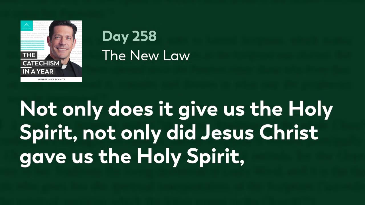 Day 258: The New Law — The Catechism in a Year (with Fr. Mike Schmitz)