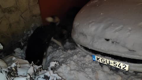 Shira And Enzo Having A Blast In The Snow
