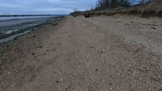 Beach on a river