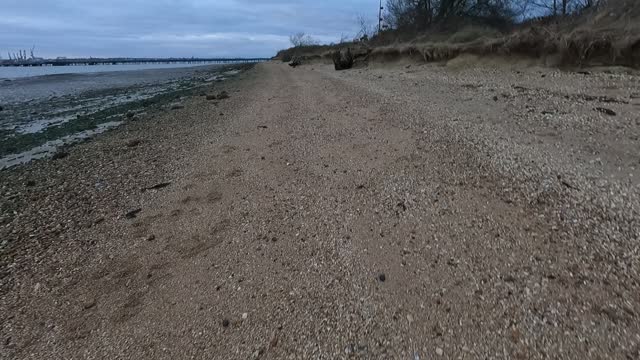 Beach on a river