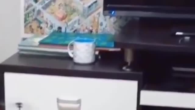 Play with cats and helicopters
