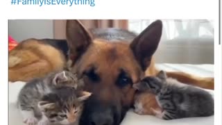 Family doesn't have to be blood. #FamilyIsEverything