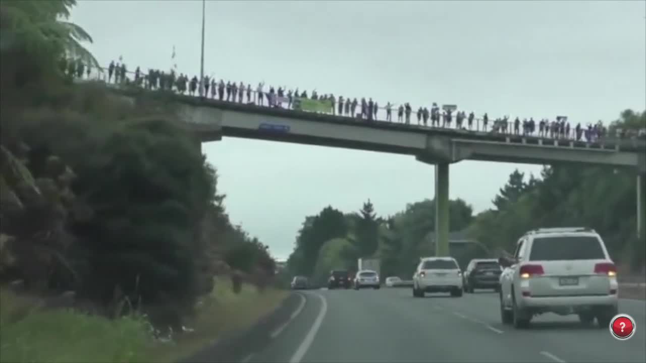 Freedom Convoy 2022 - New Zealand Edition