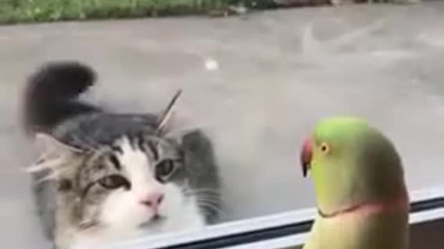 When came to the zoo 😛🦁