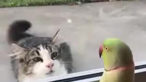 When came to the zoo 😛🦁