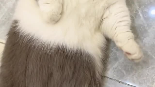 While combing hair while acting pettish