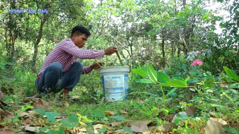 Tiger Trap Made Of Plastic Container And Wood - Traditional Tiger Trap Work 100%