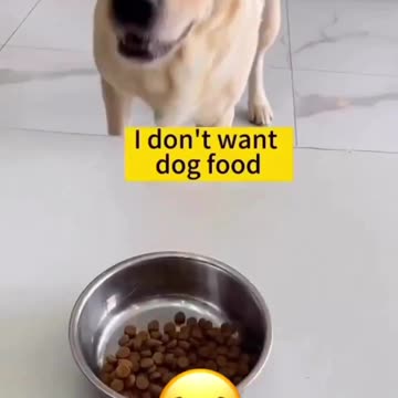 I don't like dog food