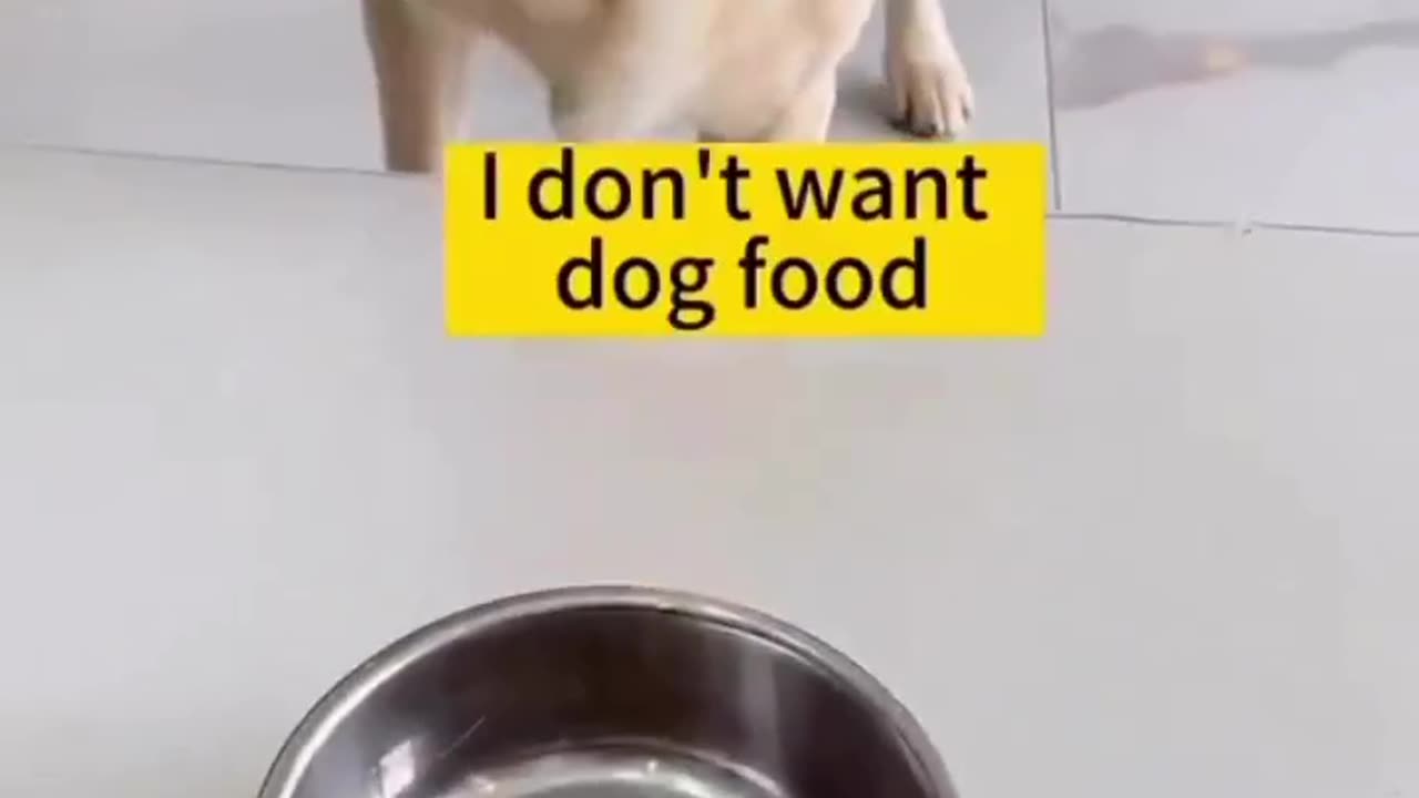 I don't like dog food