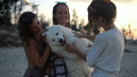 Beautiful women play with cute dog