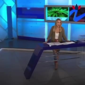 #cannabiseducation #viral #livestream #music #musica