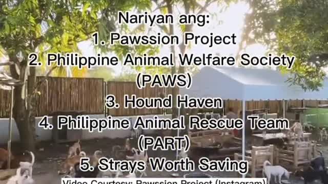 Para sa dog lovers diyan, itong para sa inyo!