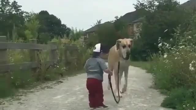 Giant Dog and Child