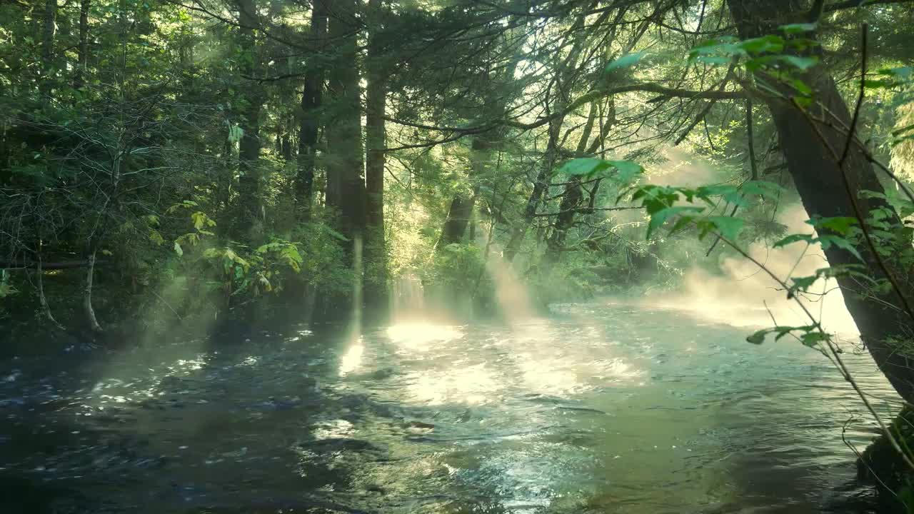 BNN (Brandenburg News Network) 11/22/2022 - Live 9:00pm Pete Hendrickson-Tax Structure